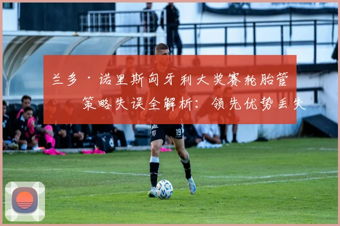 兰多·诺里斯匈牙利大奖赛轮胎管理策略失误全解析：领先优势丢失的技术视角
