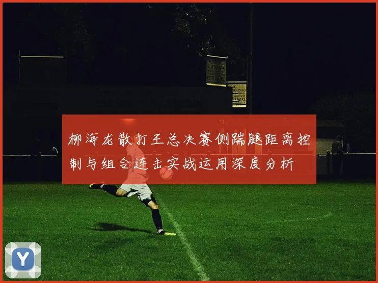 柳海龙散打王总决赛侧踹腿距离控制与组合连击实战运用深度分析