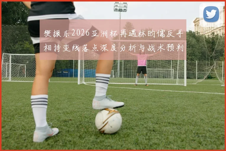 樊振东2026亚洲杯再遇林昀儒反手相持变线落点深度分析与战术预判