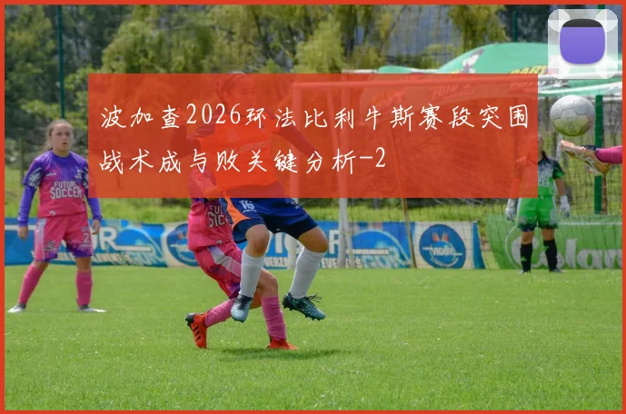 波加查2026环法比利牛斯赛段突围战术成与败关键分析