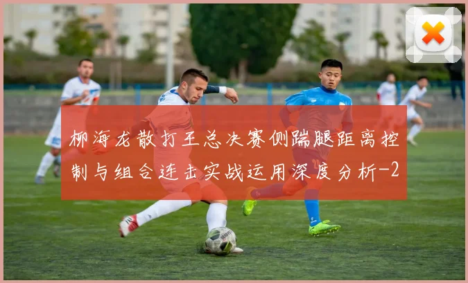 柳海龙散打王总决赛侧踹腿距离控制与组合连击实战运用深度分析